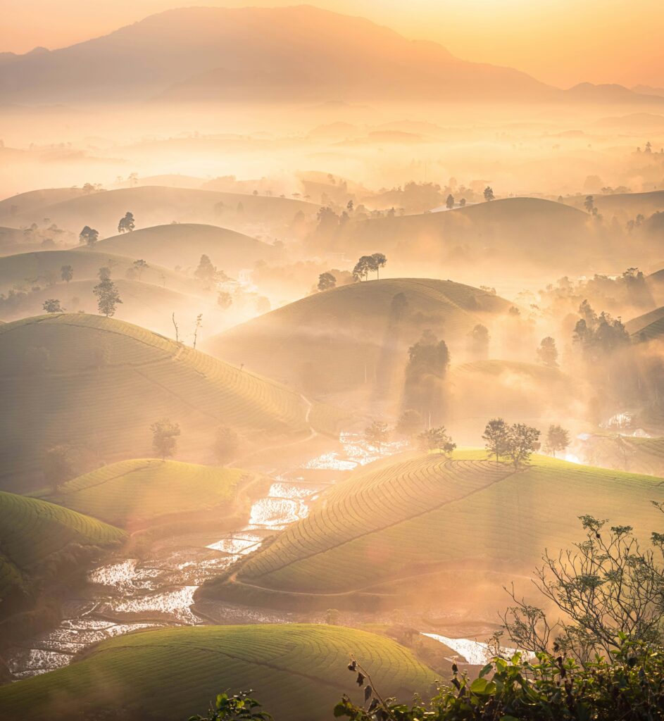 "Serene destinations in India - Misty tea plantations in Munnar"
