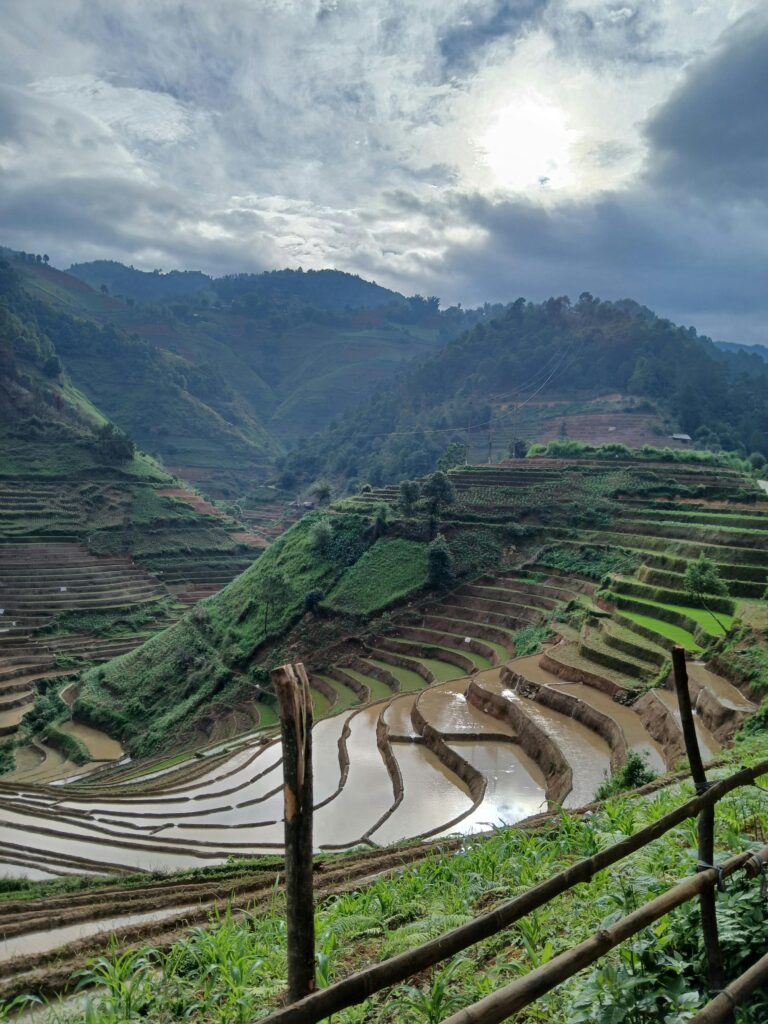 "Serene destinations in India - Lush rice fields in Ziro Valley"