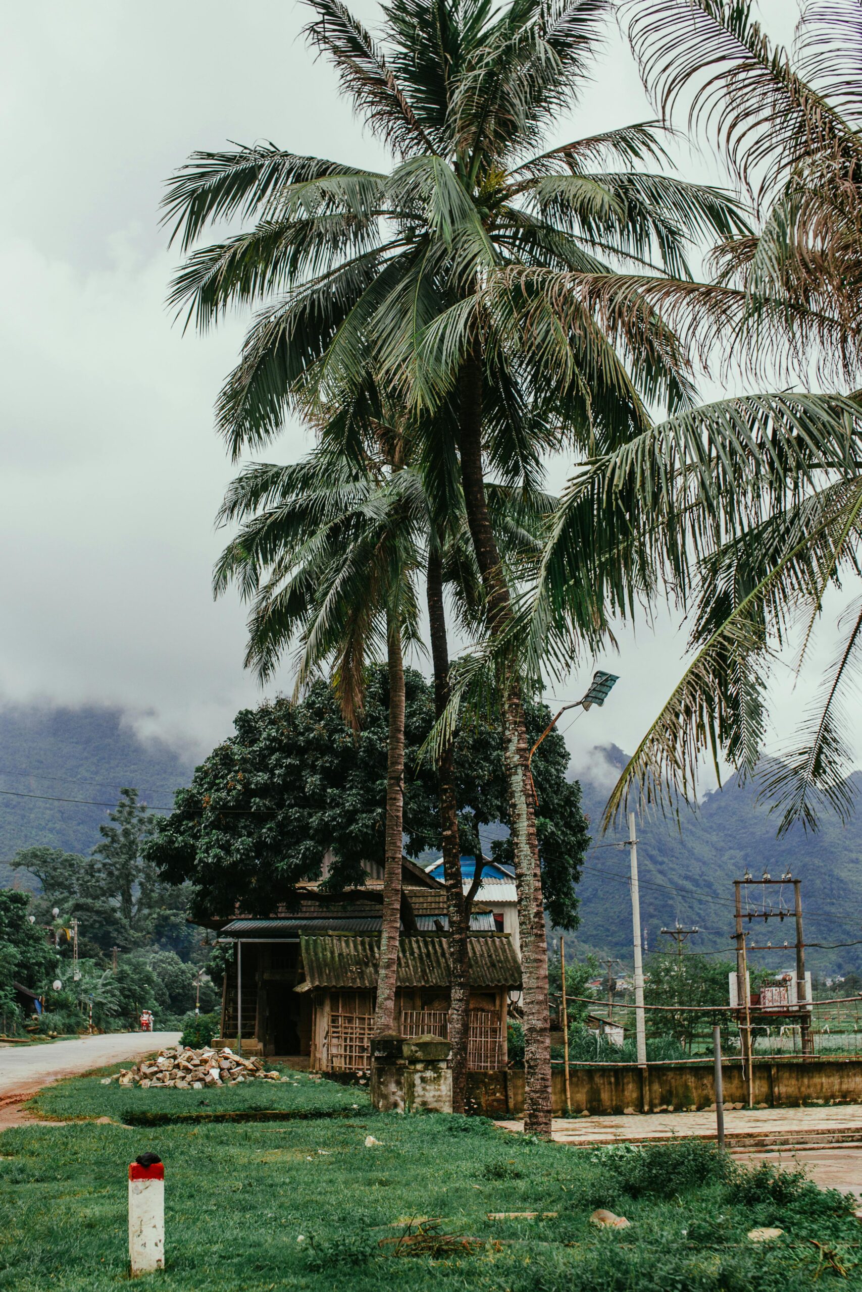 "Serene destinations in India - Himalayan mountains, tea plantations, backwaters and beaches for mind and soul"